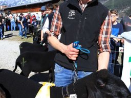 2019_ausstellung polling_332